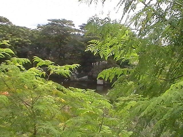 H1190019.JPG