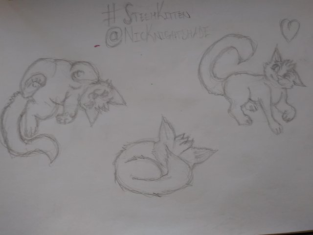 9 Kitten Poses Pencil.jpg