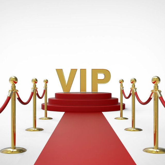 VIP-guests-1.jpg