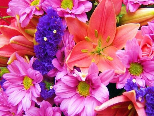 Nice flowers wallpapers screensaver.jpeg