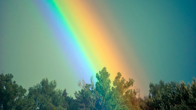 rainbow-sky-trees2.jpg