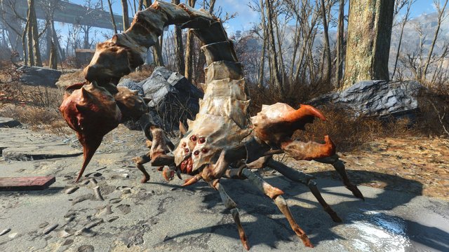 FO4_Albino_Radscorpion.jpg