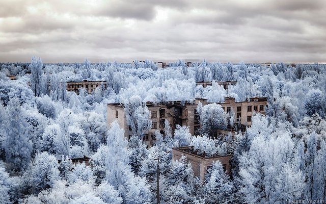 chernobyl-hpotographs-infrared-vladimir-migutin-7-5a747313a35ba__880.jpg