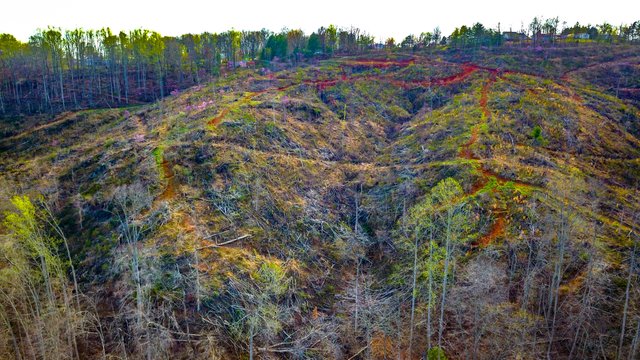 DJI_0803.jpg