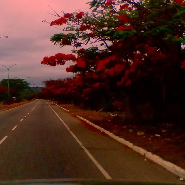 the red road.jpg