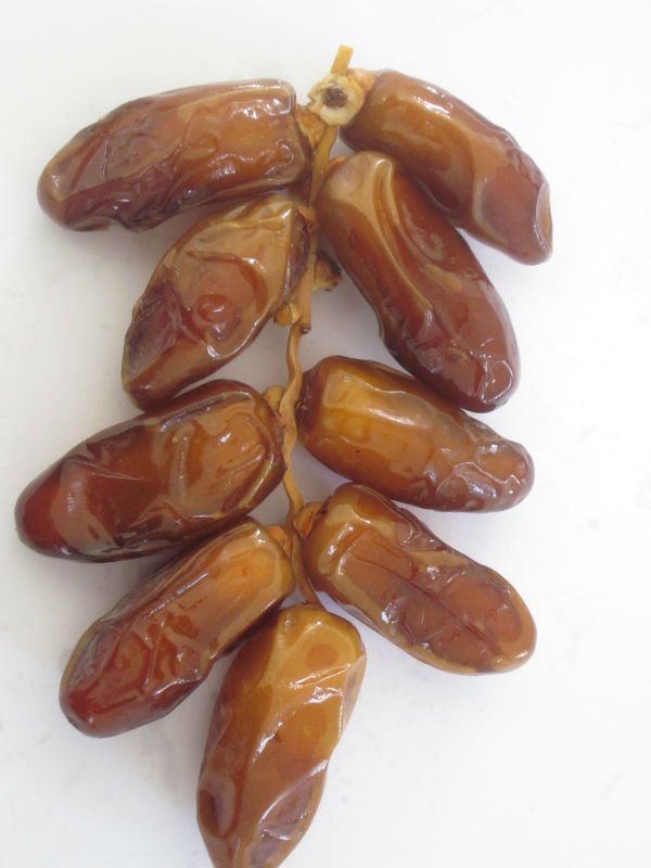 Dates-Deglet-Nour-of-Tunisia-On-Branch.jpg