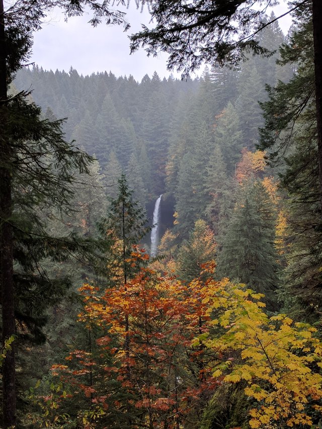 Silver Falls State Park 1.jpg