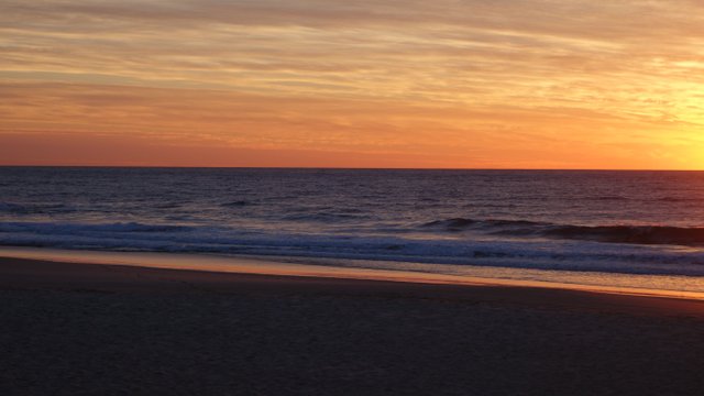 DSC08993.JPG
