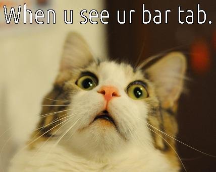 funny-cat-bar-tab-Favim.com-2841055.jpg