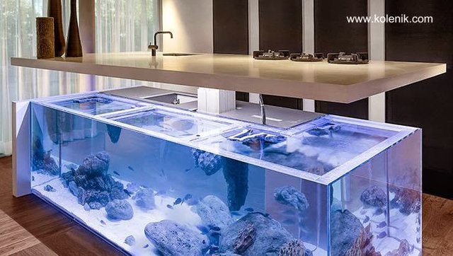 Encimera de Corian elevada gracias a un mecanismo en una torre da acceso al interior del acuario.jpg