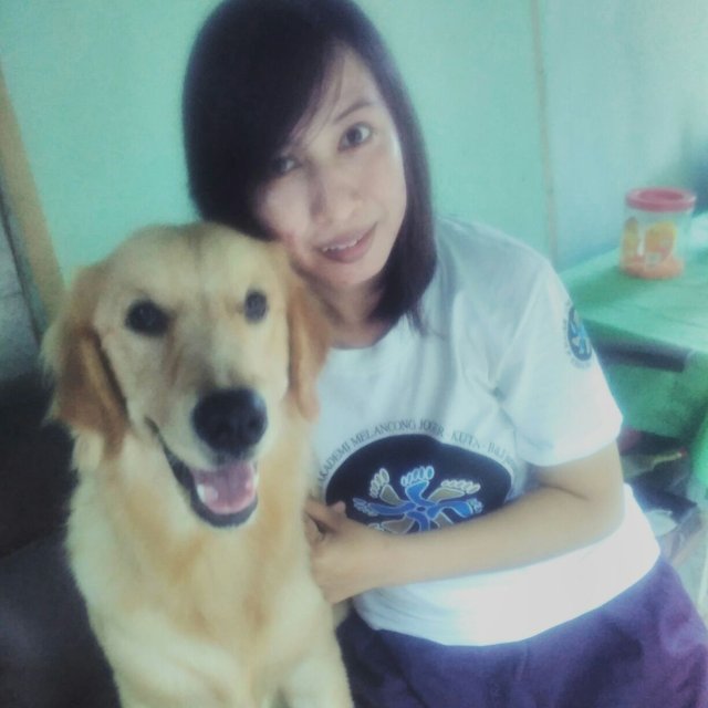 Sebuah Pelajaran Berharga Dari Seekor Anjing Steemit
