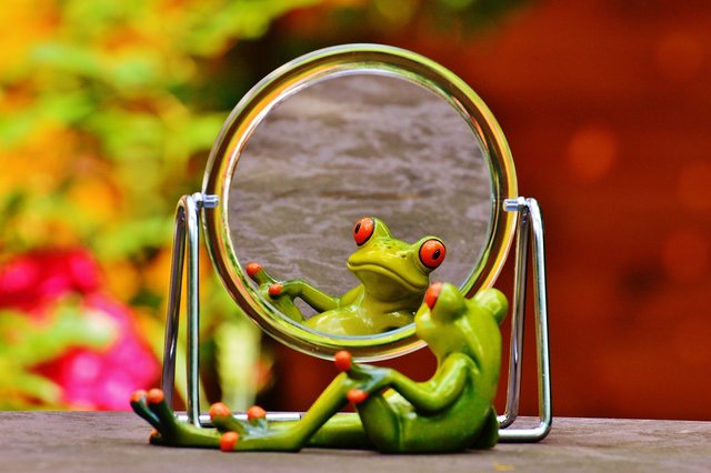 frog-1499162_1280.jpg