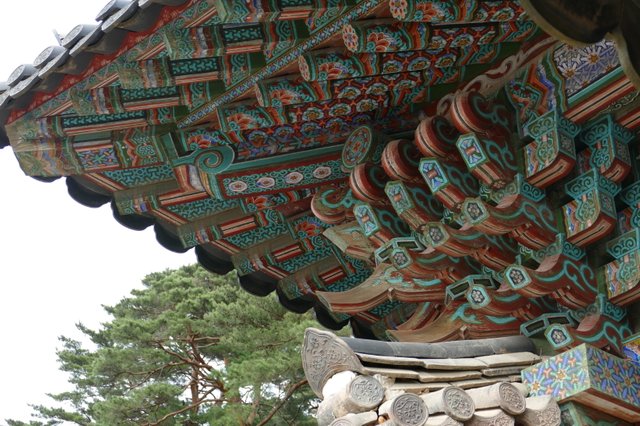 re_L1010645.JPG