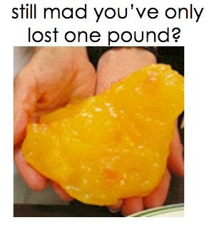 8f323cfb9c32fc3fc66d1c1b32a4cd39--pound-of-fat-one-pound.jpg