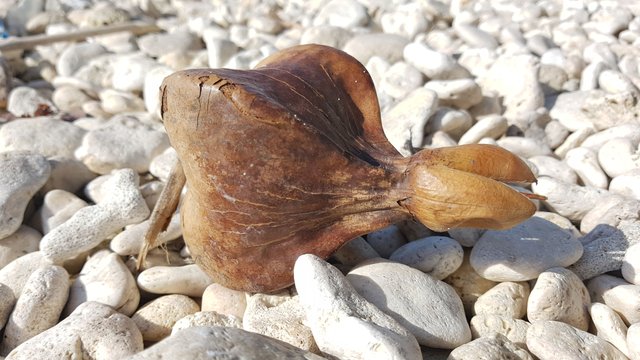 20180520_074219.jpg