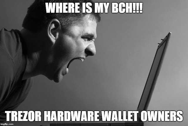 trezor bch meme.jpg