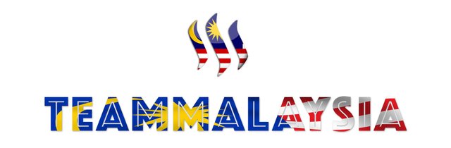 teammalaysia.jpg