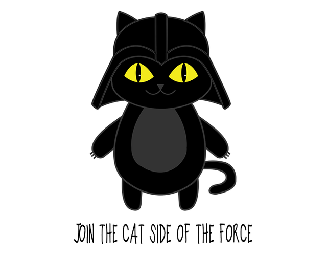 darth cat darkdise.png