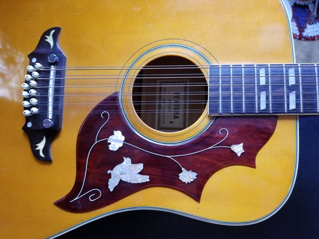 12 string inlay 2.jpg