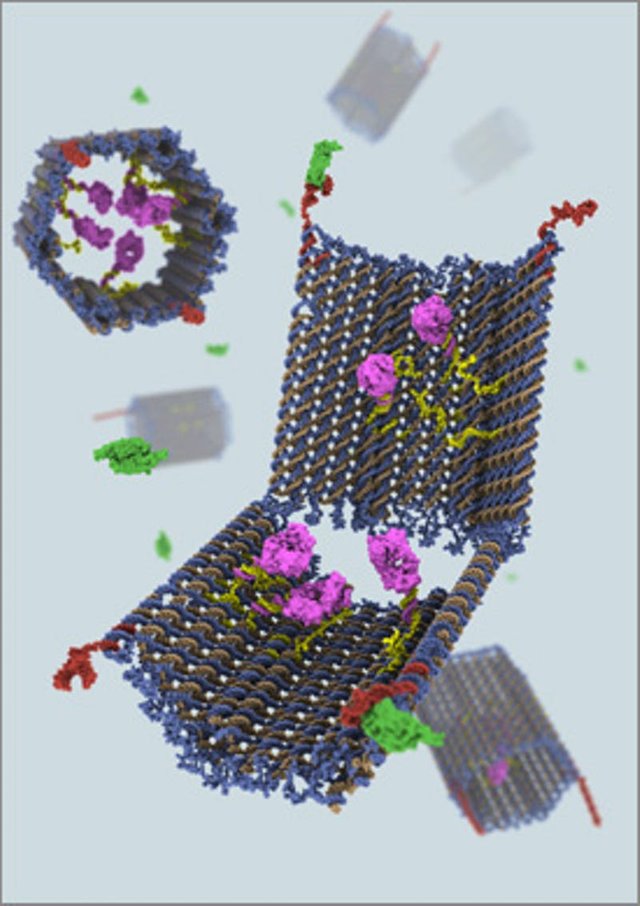 dna_nanorobot-275x389.jpg