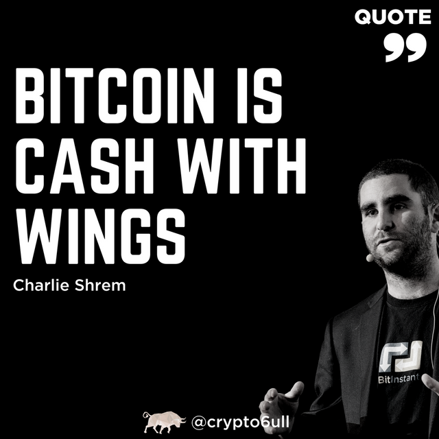CHARLIE SHREM, Cash with wings.png
