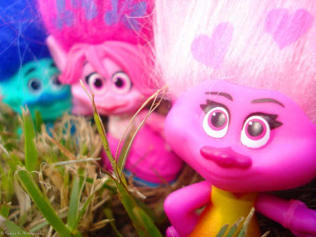 Trolls-colourful-selfie-1.jpg