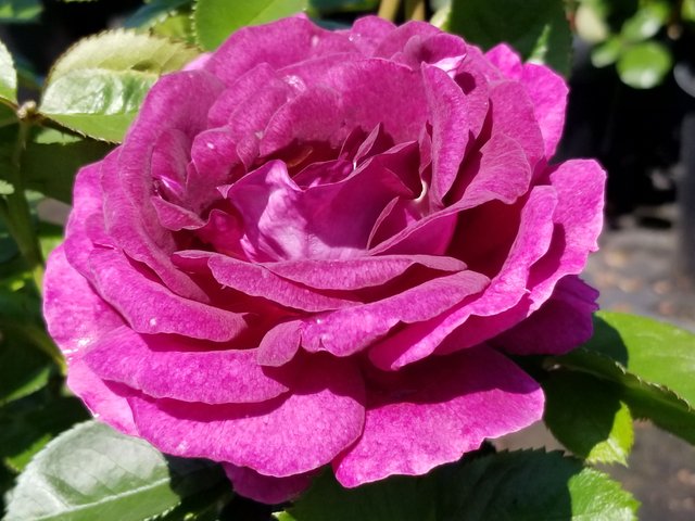 20180428_111842.jpg