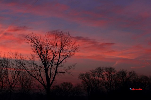 pink sunrise dawn SR15-13.JPG