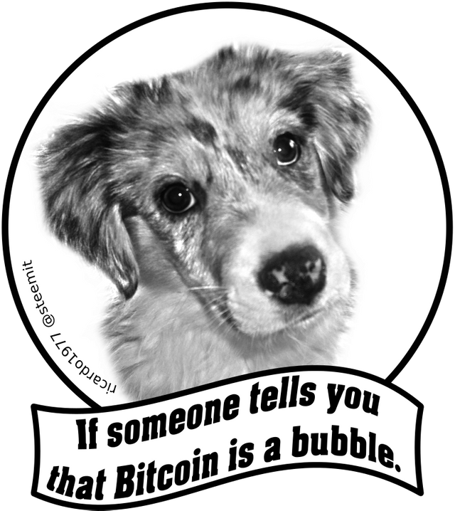 btcbubblesteem.png