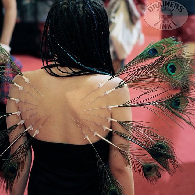 piercingpeacock.jpg