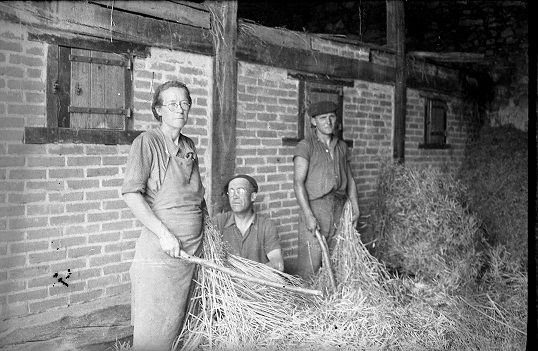 battage du blé 1946.jpg