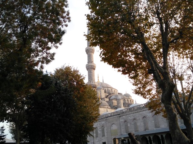 Istanbul Blue Moscque.jpg