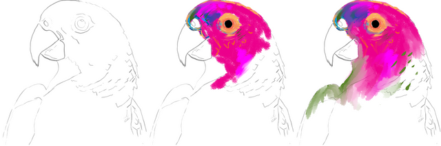 parrot_col00.png