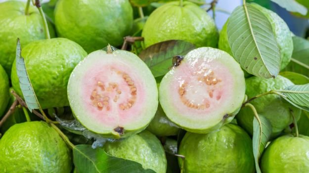 guava_625x350_41515750587.jpg