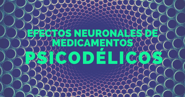 Crisis Muerte y Represión a en Relación a la Sustitución de Cultivos en Colombia (1).png