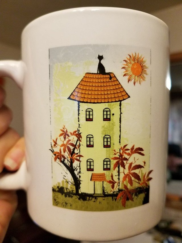 steemit-enternamehere-catonroof-mug.jpg