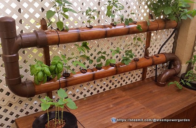 Front-Hydrogarden-8-SteemPowerGarden.jpg