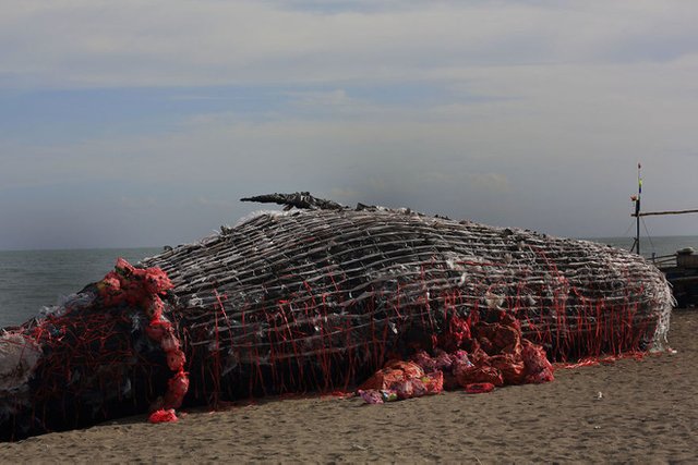 dead-whale-of-the-philippines-591a6a0f05f23-880-1495169864805.jpg