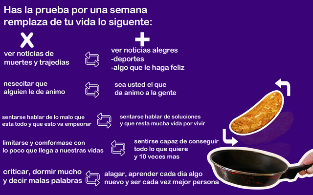 tortilla2.png