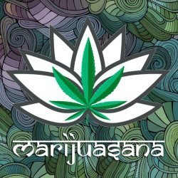 marijuasana-cannabis-yoga-boston-28.jpeg