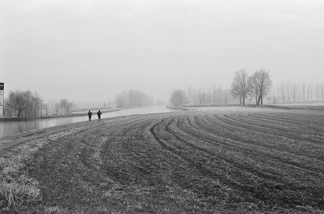 runners-fog-field.jpg