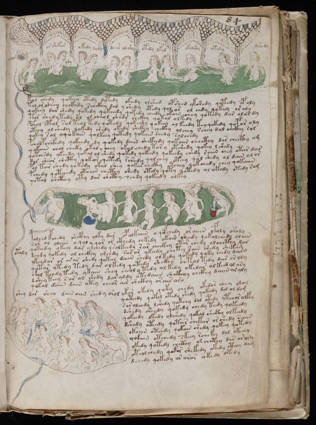 Livingstone-TheUnsolvableMysteriesoftheVoynichManuscript.jpg