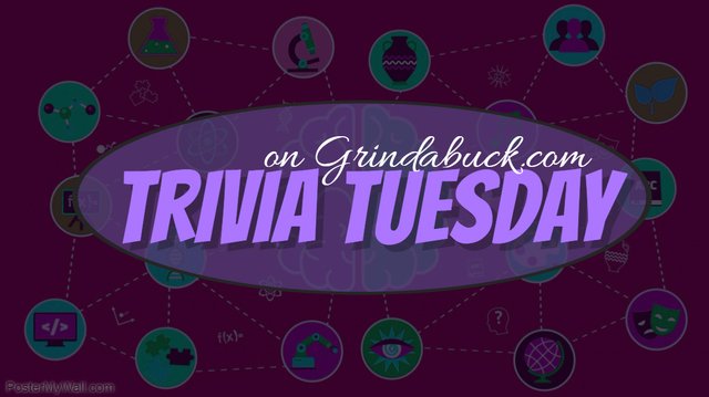 triviatuesday purple.jpg