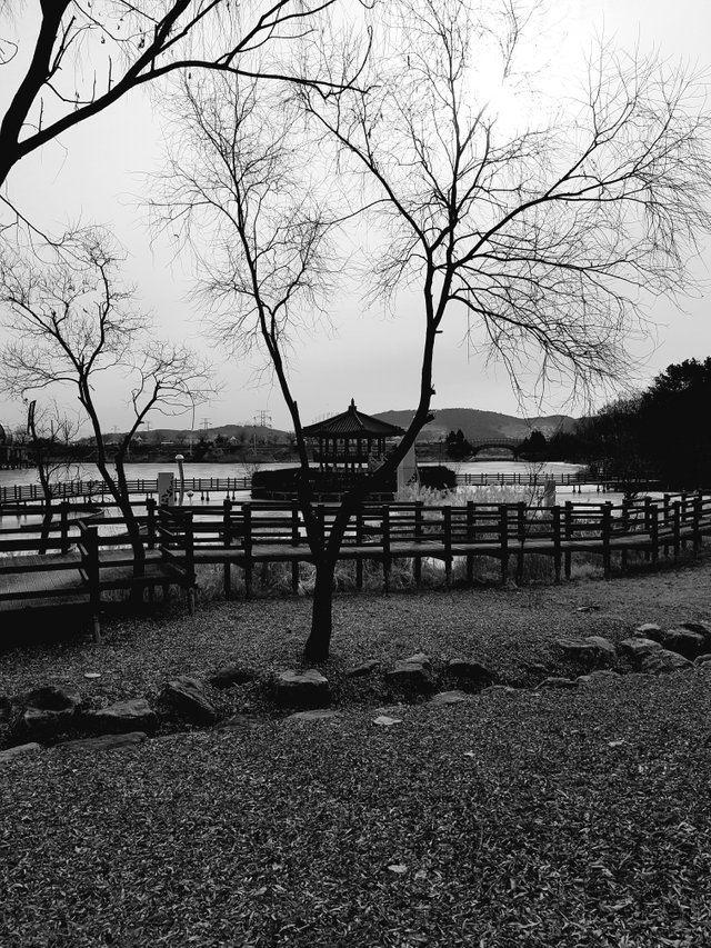 20180218_101822.jpg
