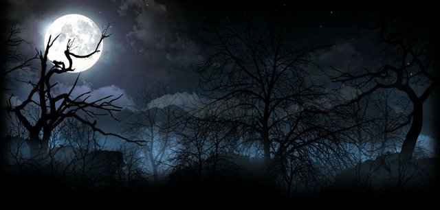 BITEFIGHT_fantasy_dark_horror_vampire_werewolf_monster_online_mmo_evil_action_fighting_1bfight_strategy_halloween_spooky_forest_night_moon_1883x900.jpg