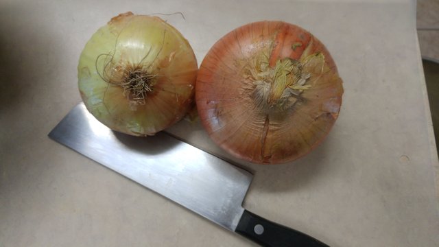 Onions two beauties.jpg