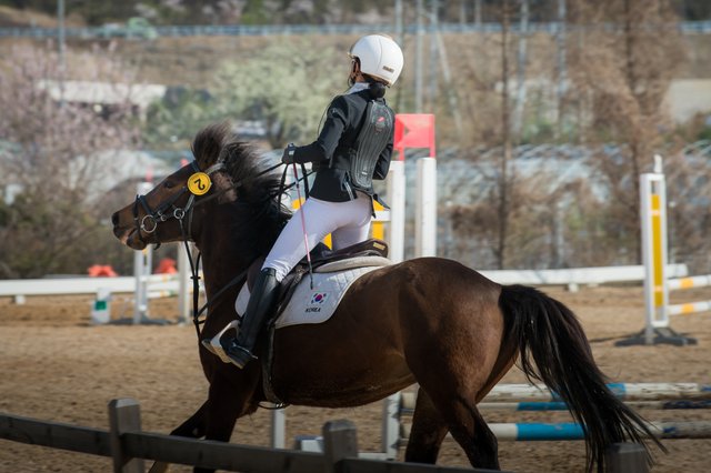 뒷면20170407승마105.jpg