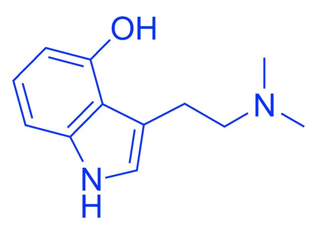 doorofperception.com-dmt-molecule.jpg