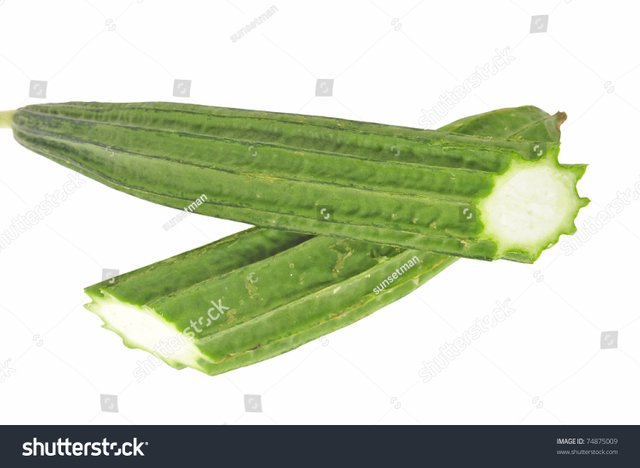 stock-photo-angled-luffa-also-known-as-chinese-okra-74875009.jpg