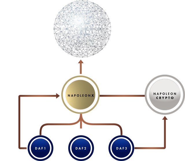 napoleonx about-schema.png